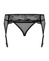 Elegant garter belt & thong