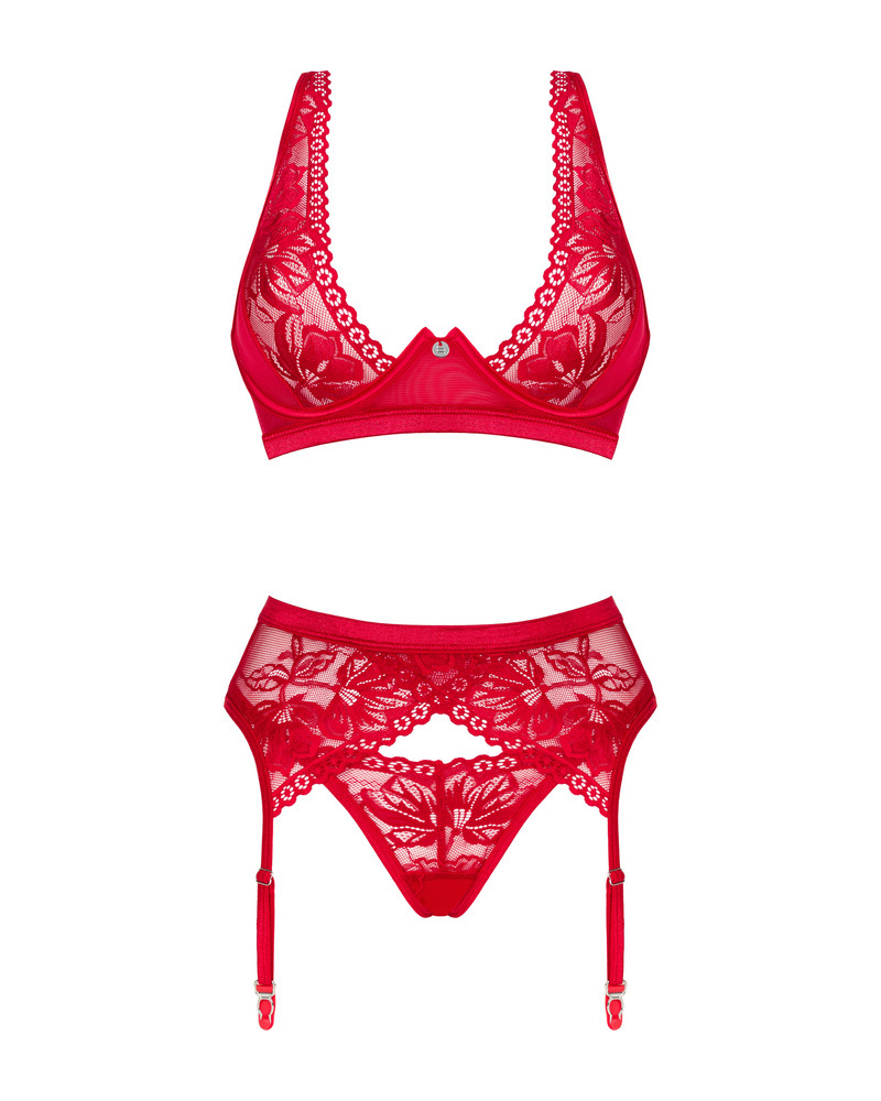 Red set with garter belt