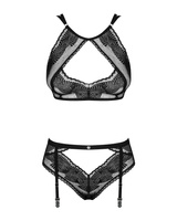 See-through set with garter belt