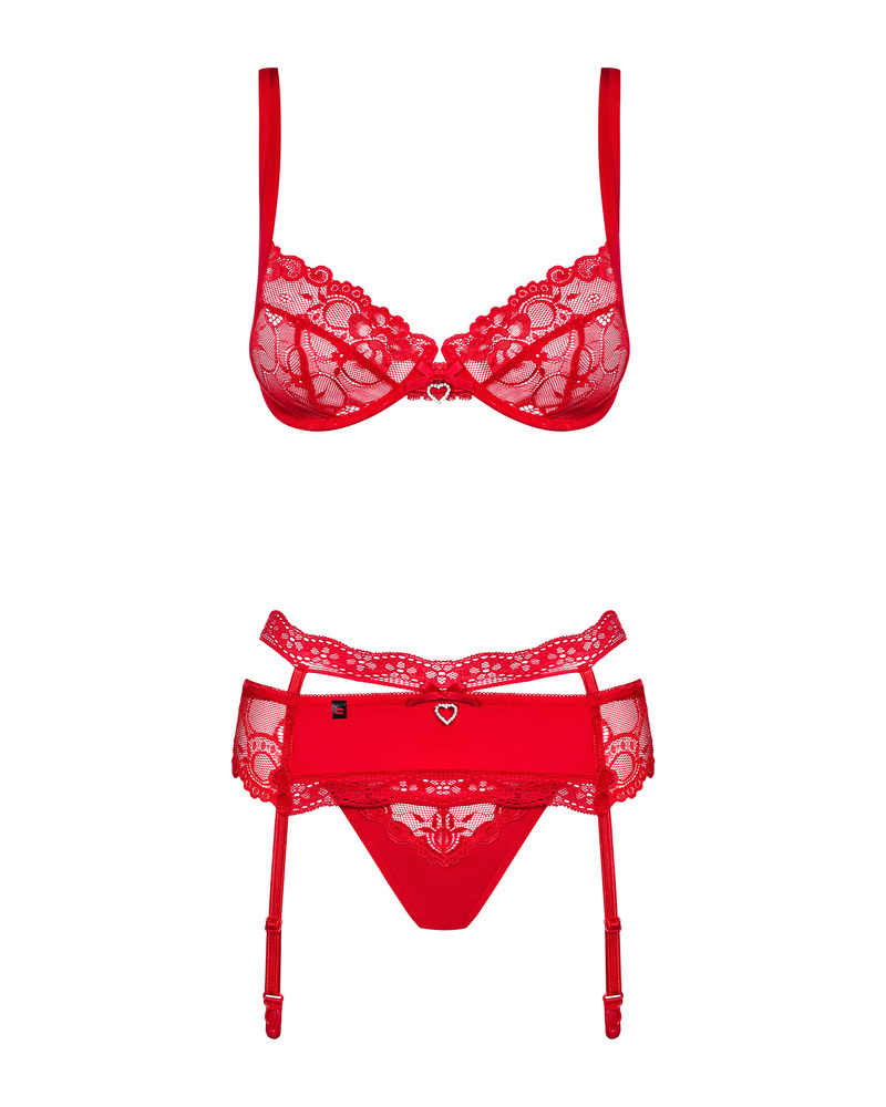 Red set with garter belt