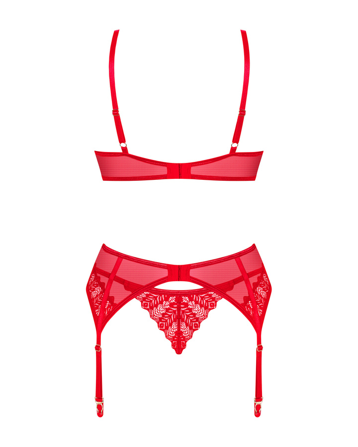 Red set with garter belt