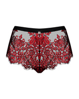 Seductive lace shorts