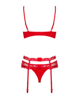 Red set with garter belt