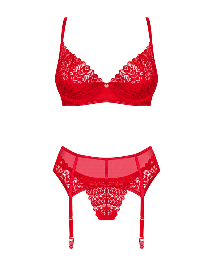 Red set with garter belt