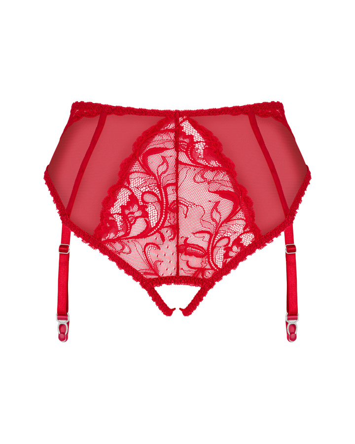 Panties with detachable garters