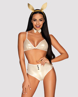 Erotic bunny costume