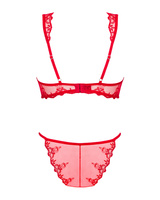 Red lingerie set