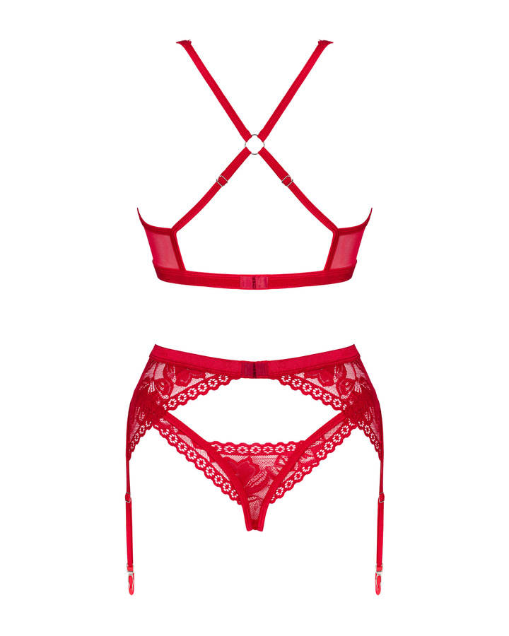 Red set with garter belt