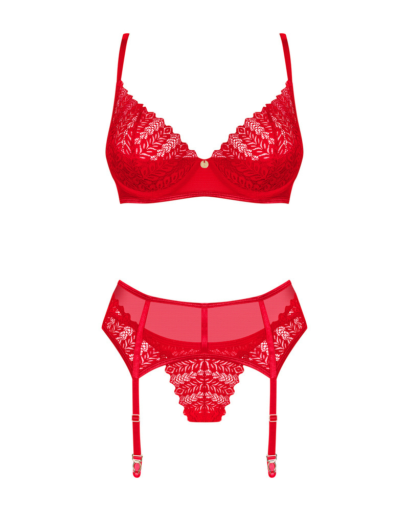 Red set with garter belt