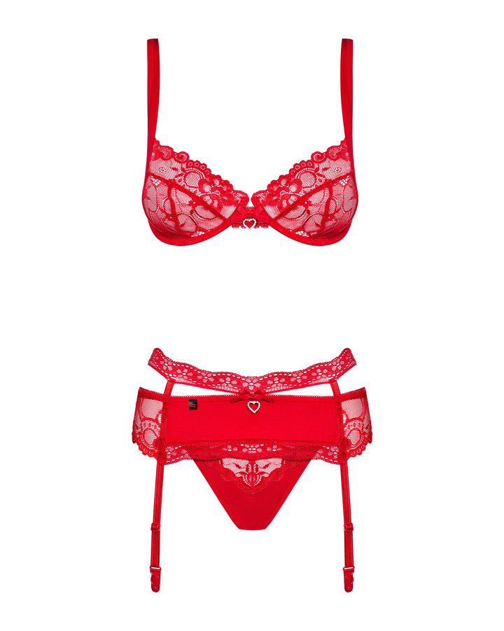 Red set with garter belt