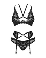 Black set with garter belt