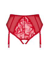 Panties with detachable garters