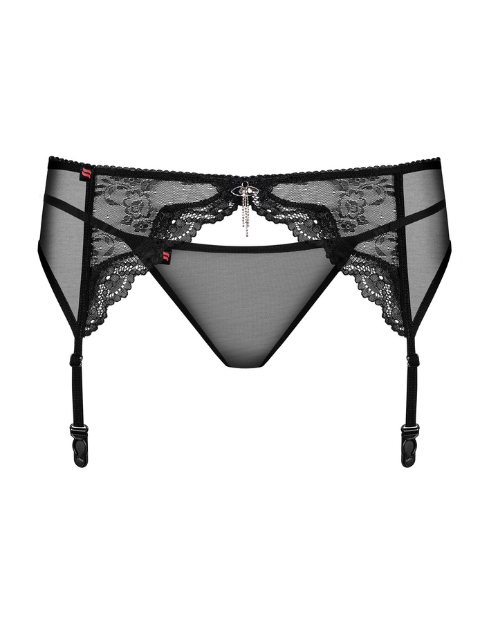 Elegant garter belt & thong