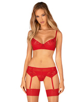 Red set with garter belt